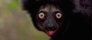 Parental Guidance: <em>Furious 7</em>, <em>Interstellar</em>, and More