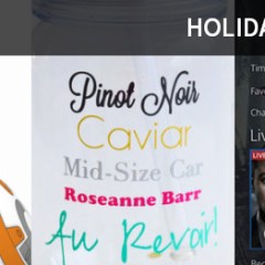 Holiday Gift Guide 2015