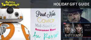 Holiday Gift Guide 2015