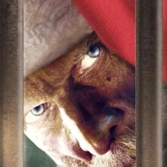 5 Christmas Horror Movies – From the Sublime to the Ridiculous