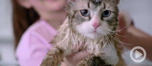 WATCH: Kevin Spacey’s <em>Nine Lives</em> Teaser Trailer