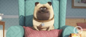 WATCH: Animals on the Run in <em>Secret Life of Pets</em> Trailer