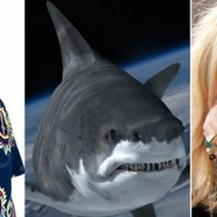 <em>Sharknado 4</em> Cast is Announced, and Other TV News
