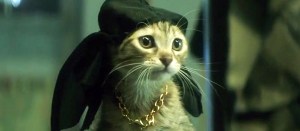 6 Things We Learned on the Set of <em>Keanu</em>