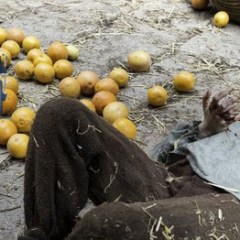 Podcast: <em>Game of Thrones</em> S6E8 “No One” Recap