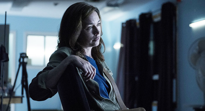 Eyewitness: Julianne Nicholson as Helen Torrance (Christos Kalohoridis/USA Network)