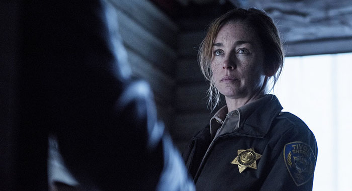 Eyewitness: Julianne Nicholson as Helen Torrance (Christos Kalohoridis/USA Network)