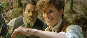 How Family-Friendly Is <em>Fantastic Beasts and Where to Find Them</em>?