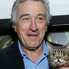 Dave Chappelle Hosts <em>SNL</em>, Amazon Snags David O’Russell Drama, Election Night Ratings, and Other TV News