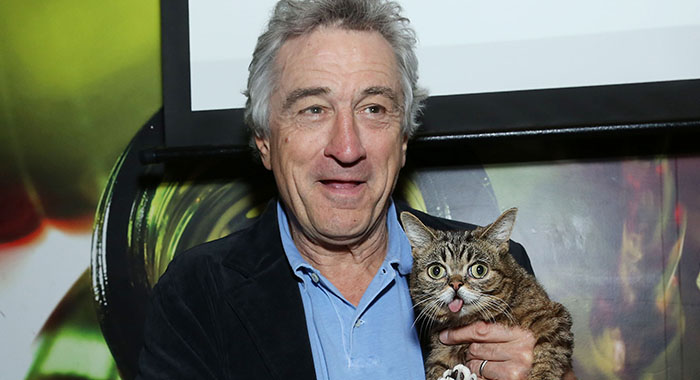 Robert De Niro and cat Lil Bub (Rob Kim/Getty Images)