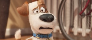 On DVD This Week: <em>The Secret Life of Pets</em>, <em>Jason Bourne</em>, and More