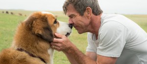 How Family-Friendly is <em>A Dog’s Purpose</em>?