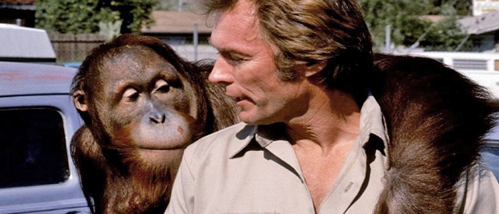 Every-Which-Way-But-Loose