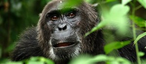 7 TV Shows You Should Binge-Watch This February