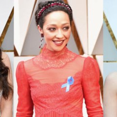 See The Oscars 2017 Red Carpet Pictures