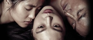 <em>Pete’s Dragon</em>, <em>The Handmaiden</em>, <em>Iron Fist</em> and More on Netflix and Amazon Prime This Week