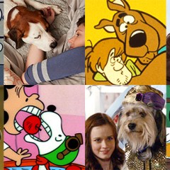 Ranking 30 of TV’s Best Dogs — Lassie, Eddie, Scooby Doo, Wishbone, and More