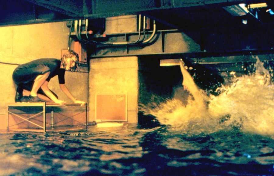 DEEP BLUE SEA, Saffron Burrows, 1999. (c)Warner Bros./courtesy Everett Collection