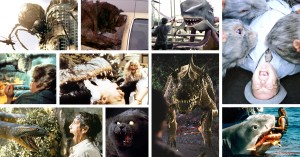 When Outrageous Animals Attack!