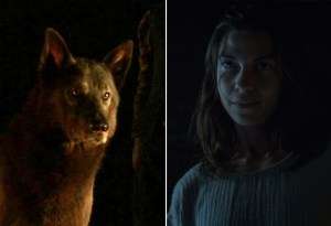 Game of Thrones - Shaggydog and Osha (HBO)