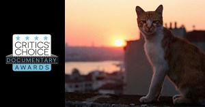 Critics’ Choice Documentary Award Nominations