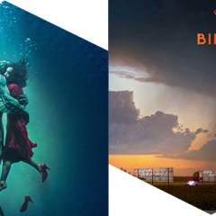 Poll: Who Should Win the 2018 Oscars?