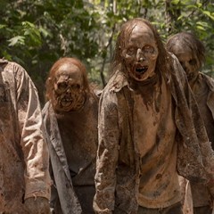 Best Zombie TV Shows Ranked by Tomatometer