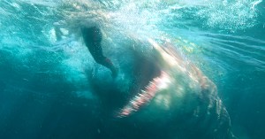 The 5 Most Anticipated Movies Opening in August