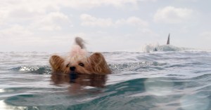 What’s Your Favorite Monster Movie?