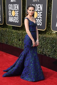 golden globes 2019 red carpet