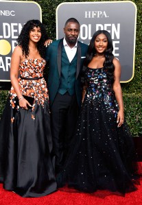 golden globes 2019 red carpet