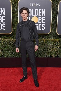 golden globes 2019 red carpet