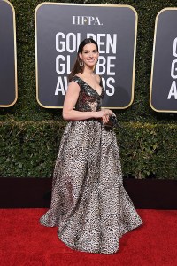 golden globes 2019 red carpet