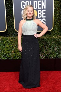 golden globes 2019 red carpet