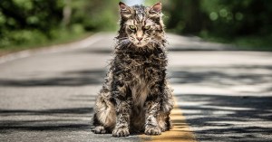 Our 9 Most Anticipated Movies of the South by Southwest Film Festival