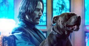 <em>John Wick: Chapter 3 – Parabellum</em> First Reviews: An Escalating Ballet of Blood, Fights, and Insanity