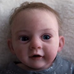 Renewed and Cancelled TV Shows 2019