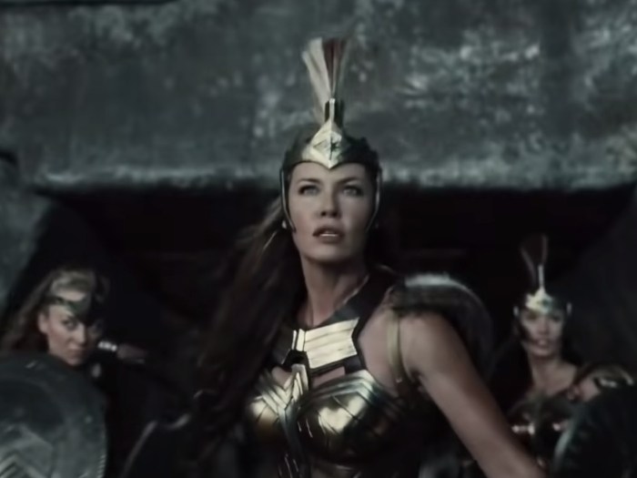 Amazons – Zack Snyder’s Justice League | Rotten Tomatoes