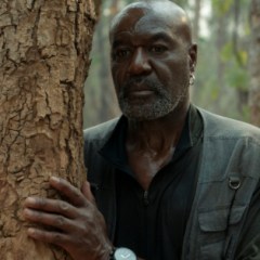 The Essentials: Delroy Lindo Breaks Down His Freshest and Defining Roles