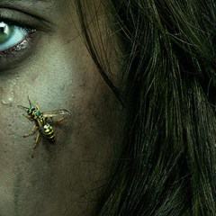 6 Things To Know About YA Horror Series <I>Yellowjackets</i>