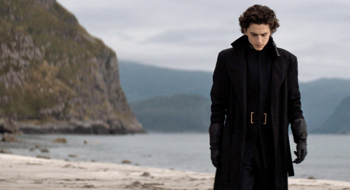 Timothee Chalamet in Dune