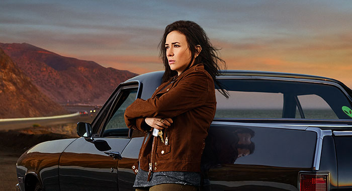 Pamela Adlon in Better Things season 5 key art