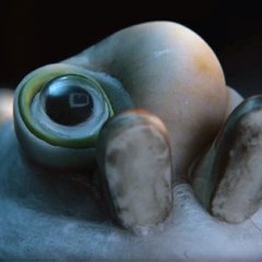 Summer Movie Scorecard 2022