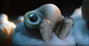 Summer Movie Scorecard 2022