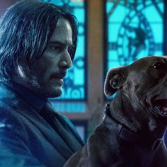 93 Best Assassin Movies Ranked by Tomatometer