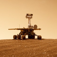 Best Upcoming Documentaries from the Fall Festivals