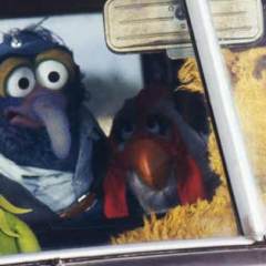 Muppet Movies Ranked by Tomatometer