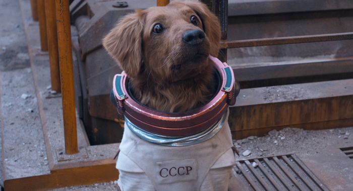 Maria Bakalova as Cosmo the Spacedog in Guardians of the Galaxy Vol. 3 (2023)