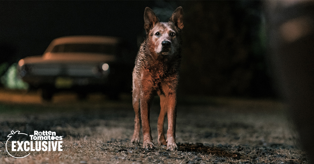 Image from Pet Sematary: Bloodlines (2023)