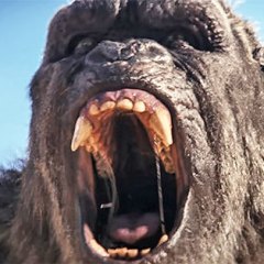 All King Kong Movies Ranked